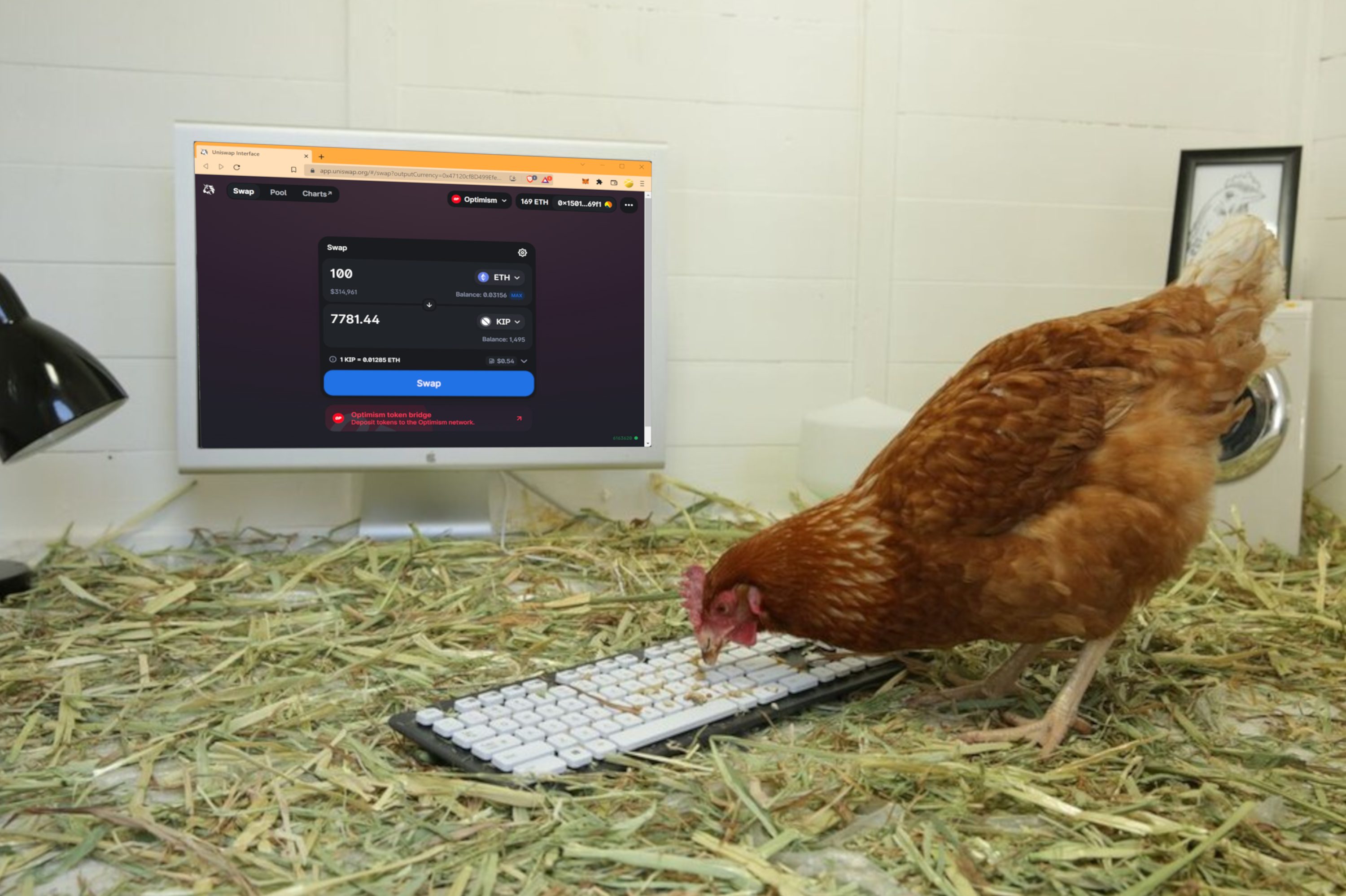 CHICKEN BUYING KIPCOIN